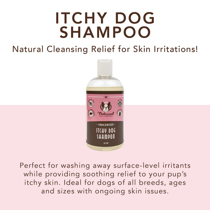 Natural Dog Company Itchy Dog Shampoo Cleansing Itch Relief