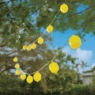 Solar Lemon String Lights, , large