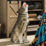 Statement Wolf Statue, , large