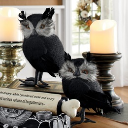 Set of 2 Halloween Owls, , large