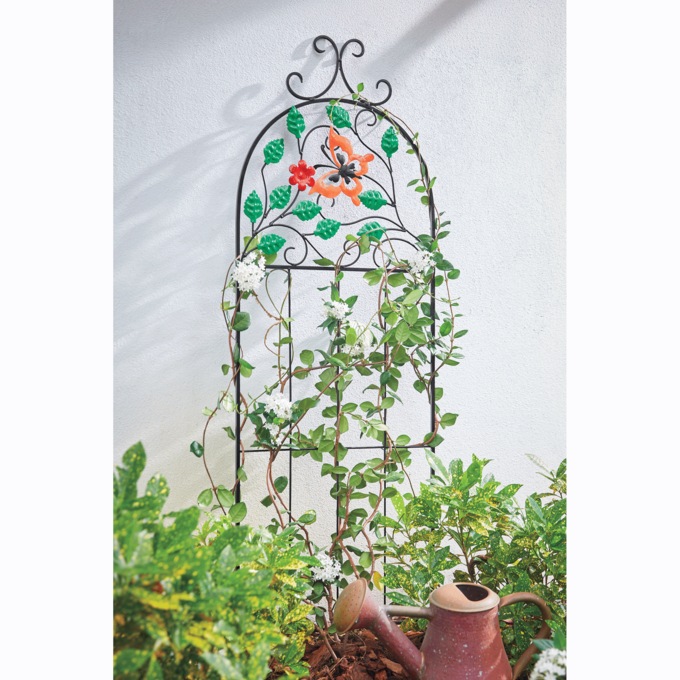 Garvan Garden Trellis, Multi, large