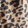 Brown Cheetah