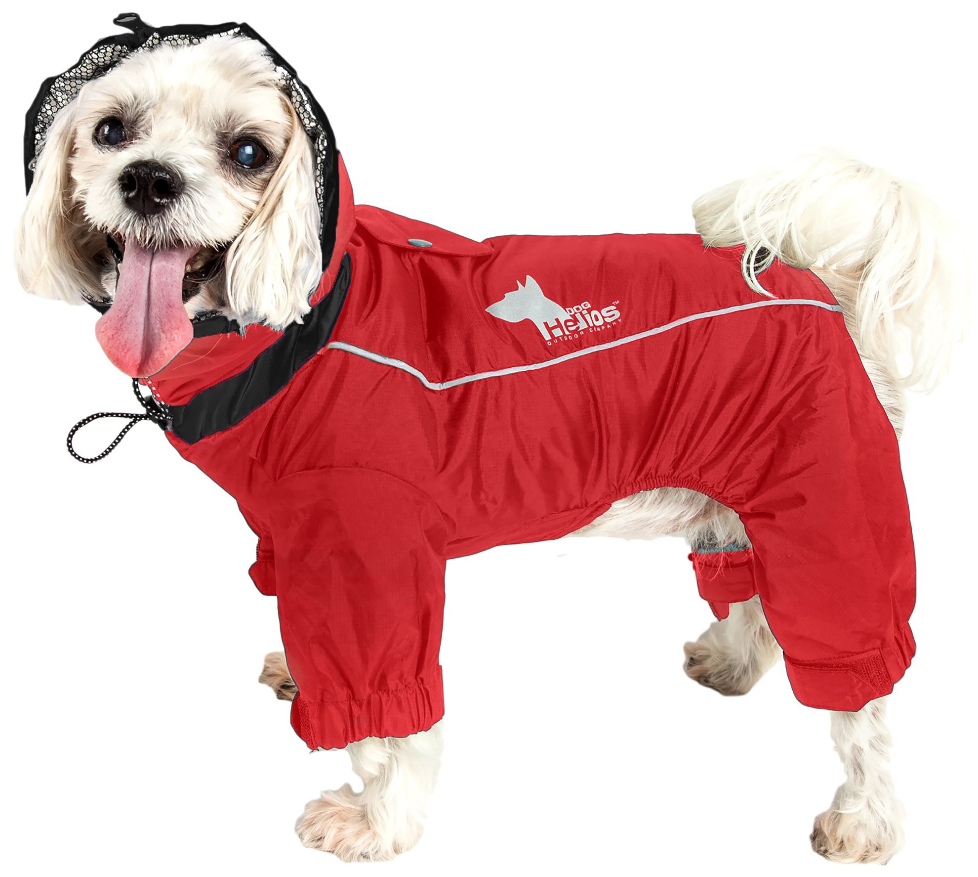 helios dog winter jacket