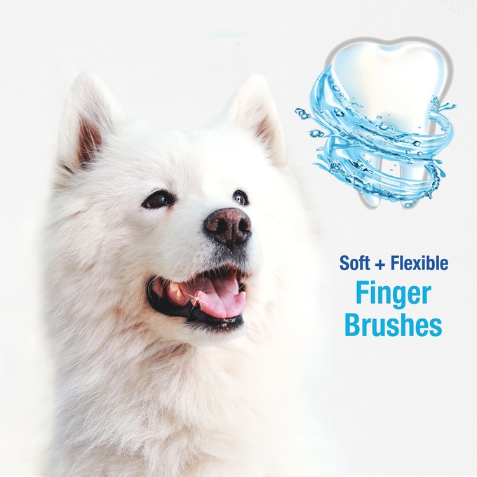 Nylabone Advanced Oral Care Finger Brush, , large
