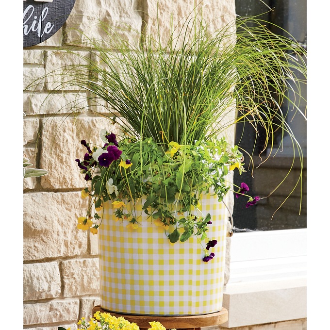 Set of 2 Gingham Check Planters, , large