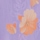 Lilac Print