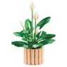 LEGO Botanicals Peace Lily, Multi, large