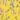 Yellow Floral