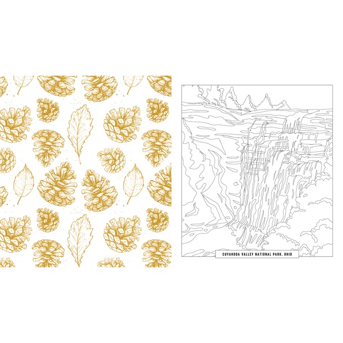 National Park Coloring Book, , large
