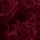 Off Black Burgundy