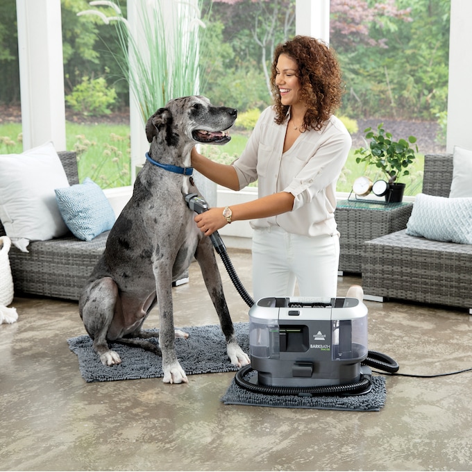 Bissell dog bark bath online