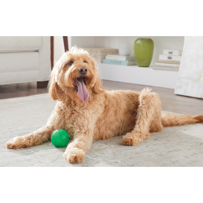 Starmark Treat-Dispensing Chew Ball, , large