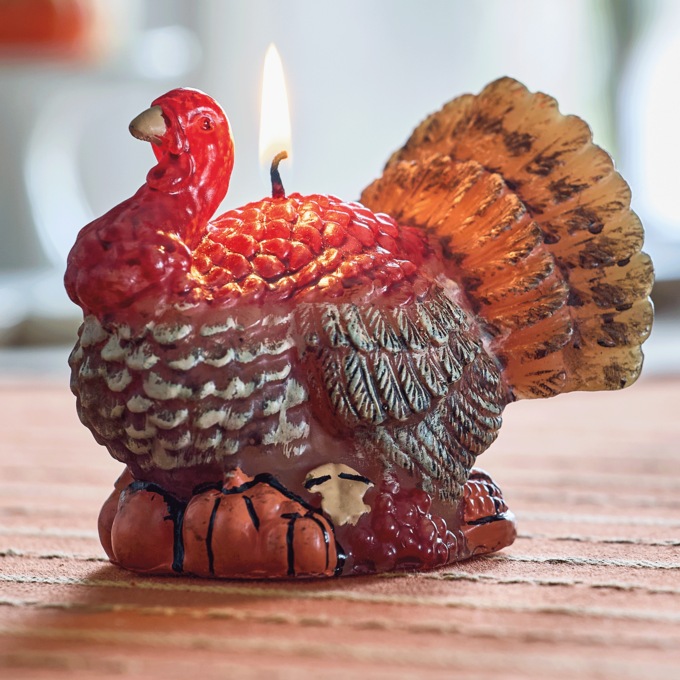 Turkey Tom Figural Candle, Multi, large
