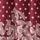 Red Paisley