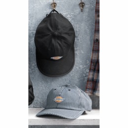 Dickies Baseball Cap, , large