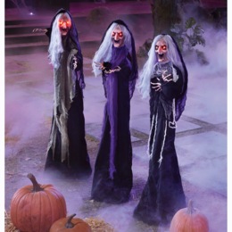 Set of 3 Haunted Witch Stakes, , large