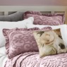 Blush Peony Bouquet Decorative Accent Pillow, Pink, large