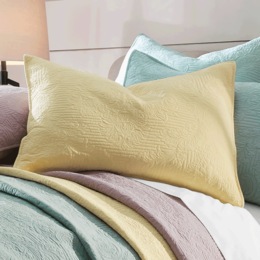 Amore Sham, , large