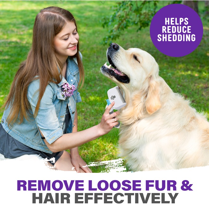 Paw Perfect Pet Grooming Brush Montgomery Ward