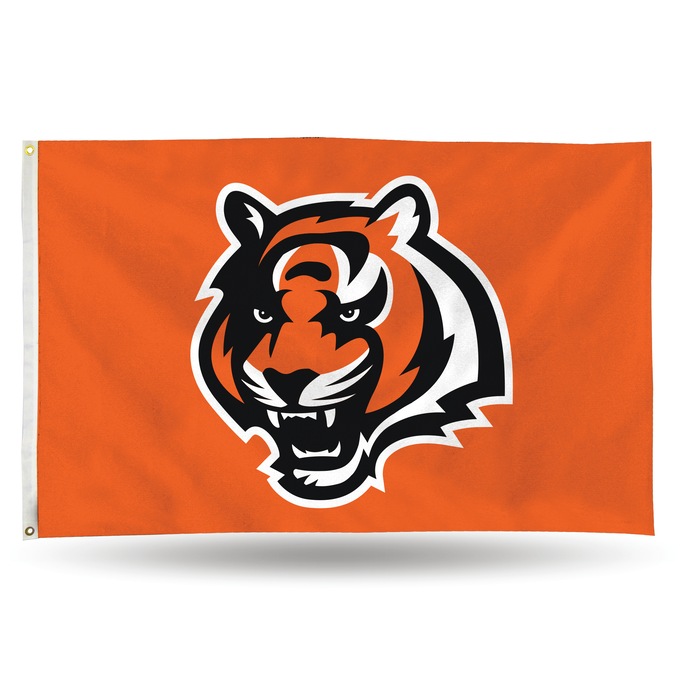 3' x 5' NFL Flag, , large