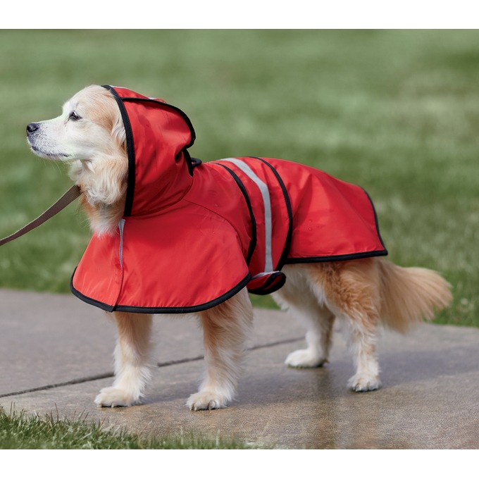 Pet Raincoat, , large