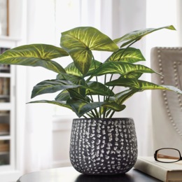 Faux Plant in Black Cement Pot, , large