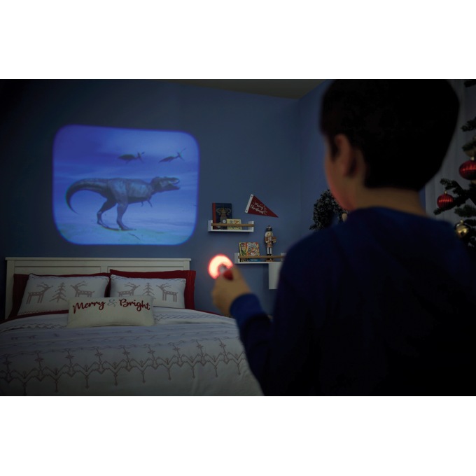 Flashlight and Projector, , large