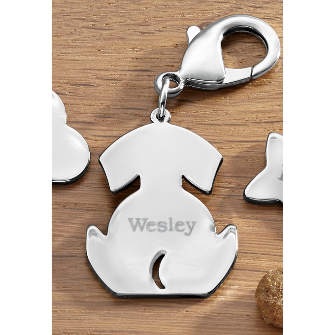 Personalized Pet Tag, , large