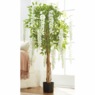 Wisteria Tree, , large