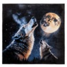 Novel Microplush Blanket, , large
