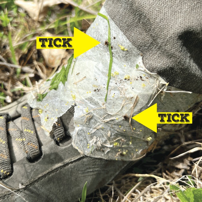 Billy-Bob Single Roll of Tick Tape, , large