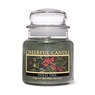 Cheerful Candle 16-oz. Fall/Holiday Jar Candle, , large