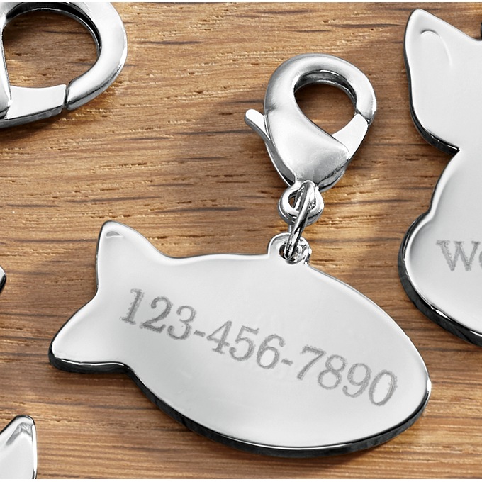 Personalized Pet Tag, , large