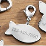 Personalized Pet Tag, , large