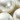 Multi-Strand Bead Necklace and Earring Set, Faux Pearl, swatch