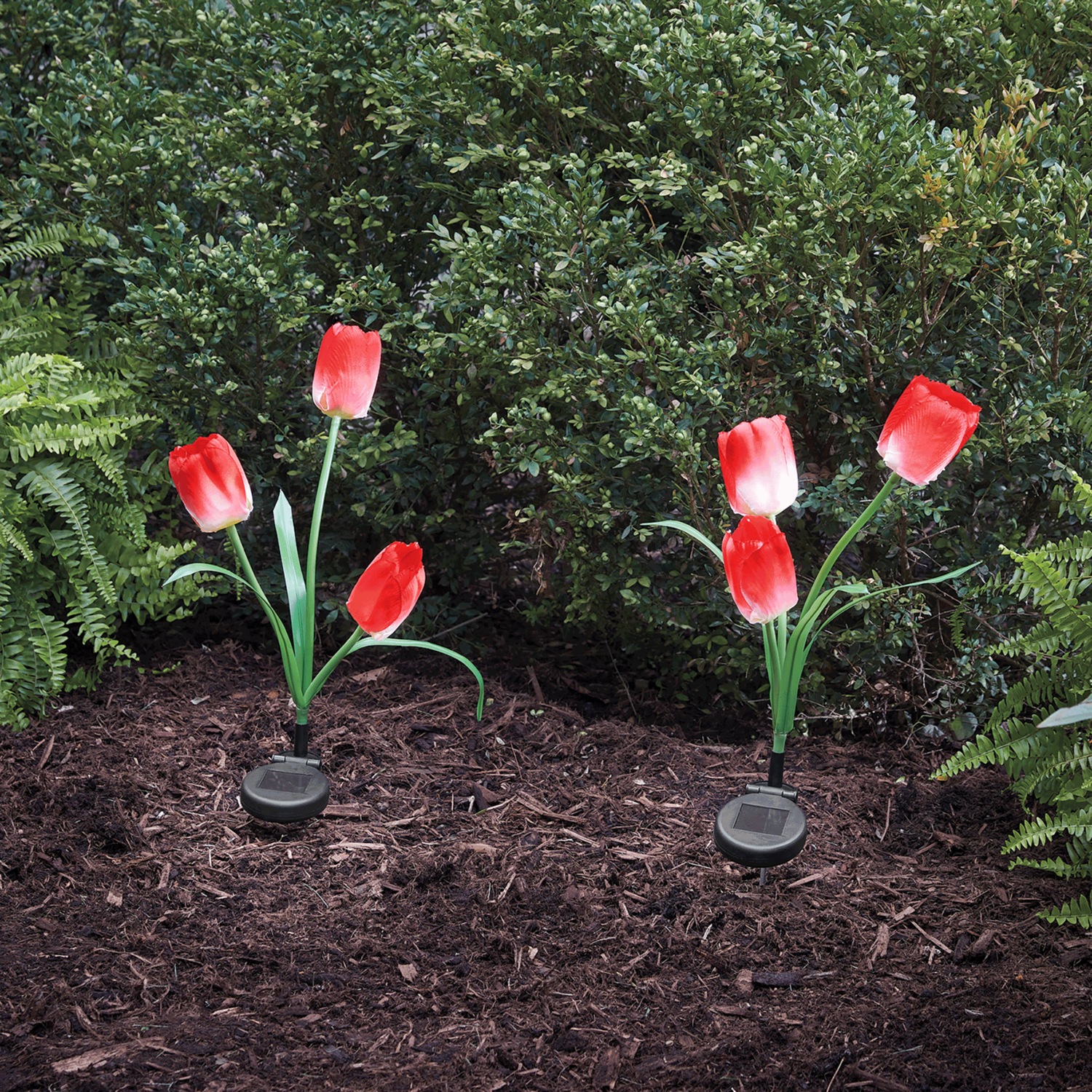 Set of 2 Solar Tulip Lights | Montgomery Ward
