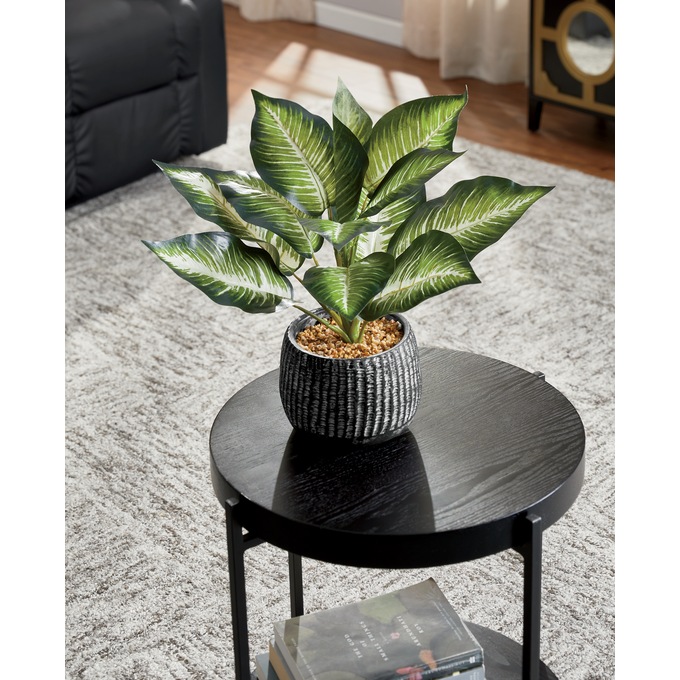 Plant in Black Pot, , large