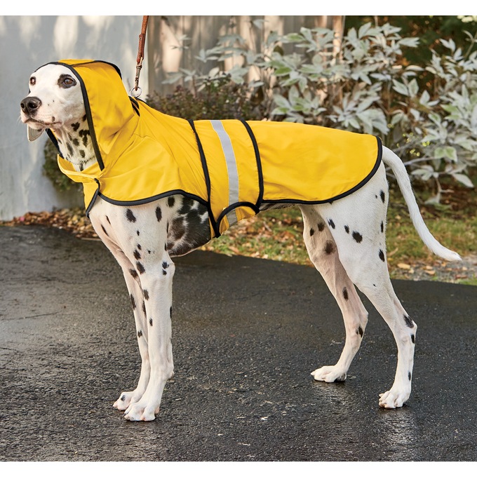 Pet Raincoat, , large