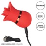 French Kiss Suck & Play Interchangeable Set By Calexotics, , large