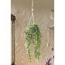 Hanging Potted Green Plant, , large