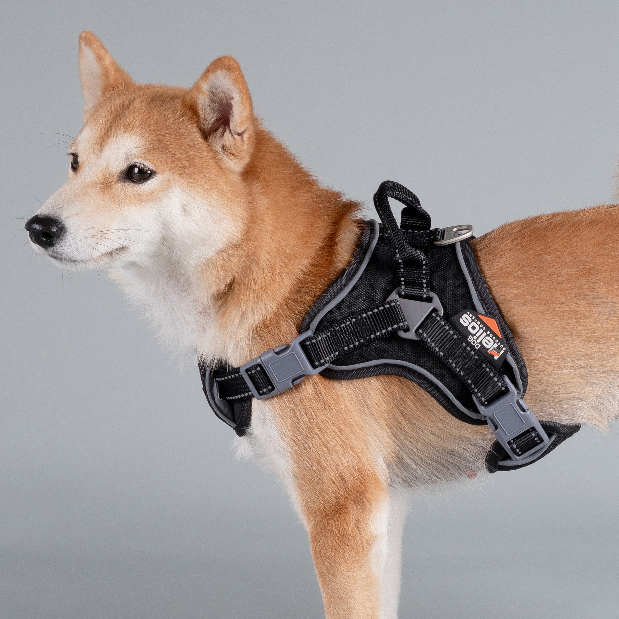 helios dog harness