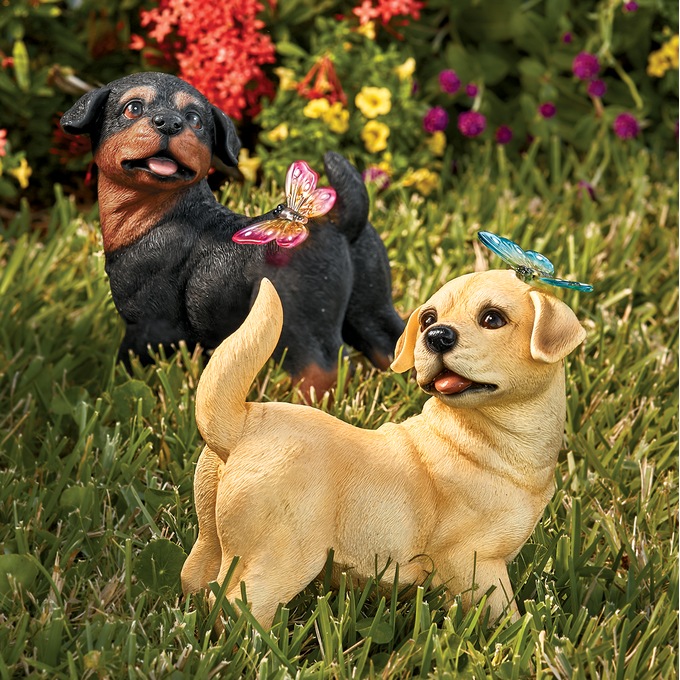 Solar Puppy with Butterfly, , large
