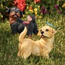 Solar Puppy with Butterfly, , large