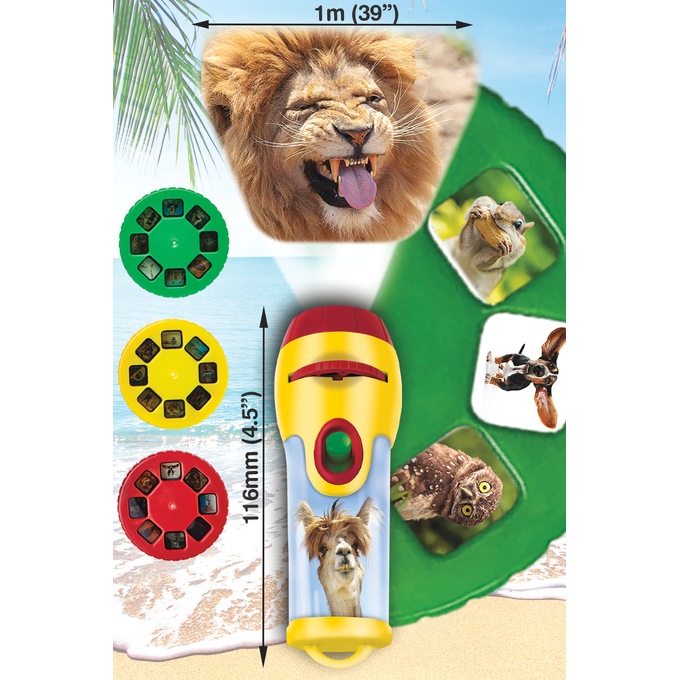 Flashlight and Projector, , large