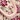 Millie Touch Closure Shoe, Nude Floral, swatch