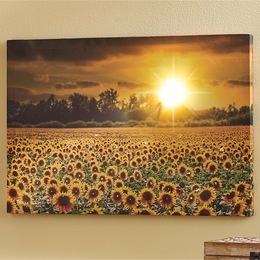 Lit Sunflower Fields Wall Art, , large