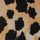 Tawny Leopard