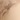 Miss Mary Side Support Cotton Bra, Beige, swatch