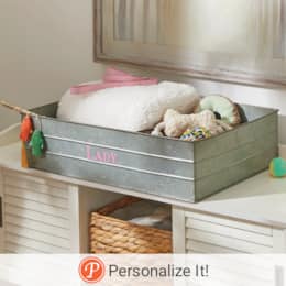 Galvanized Metal Pet Tray, , large