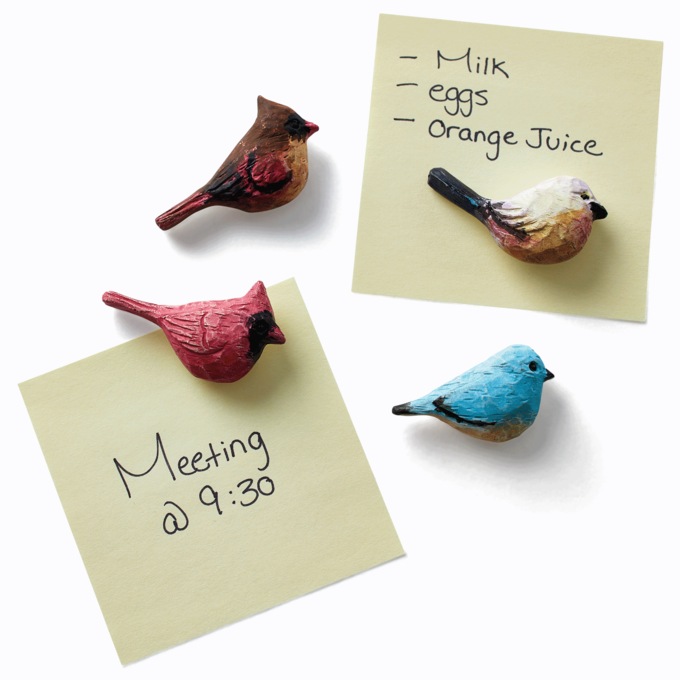 Set of 4 Assorted Bird Magnets, Multi, large